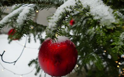 Krippenspiel und Paradiesspiel